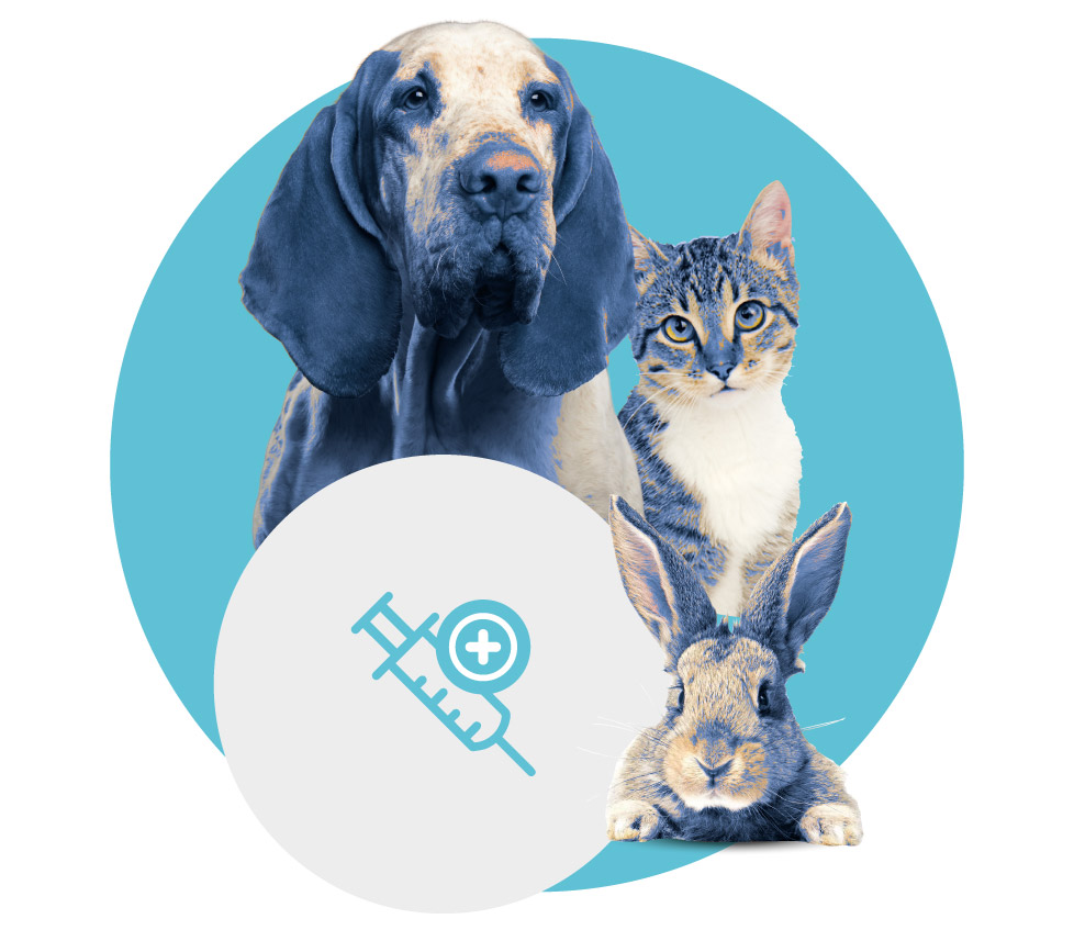 Veterinario Reperibilità Catanzaro