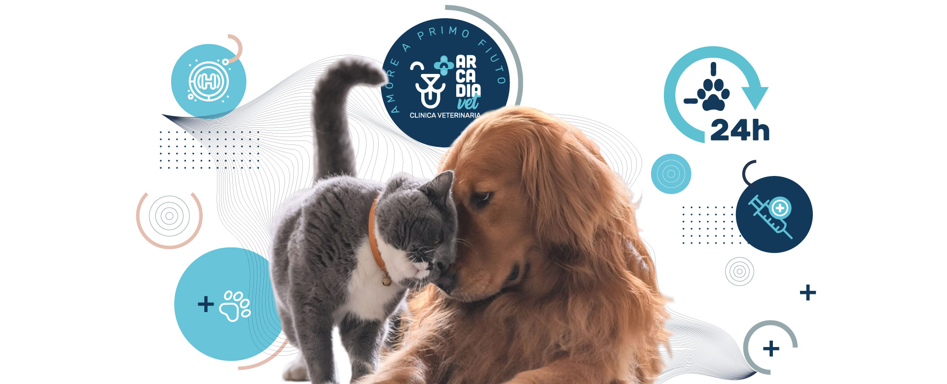Pronto Soccorso Veterinario Catanzaro
