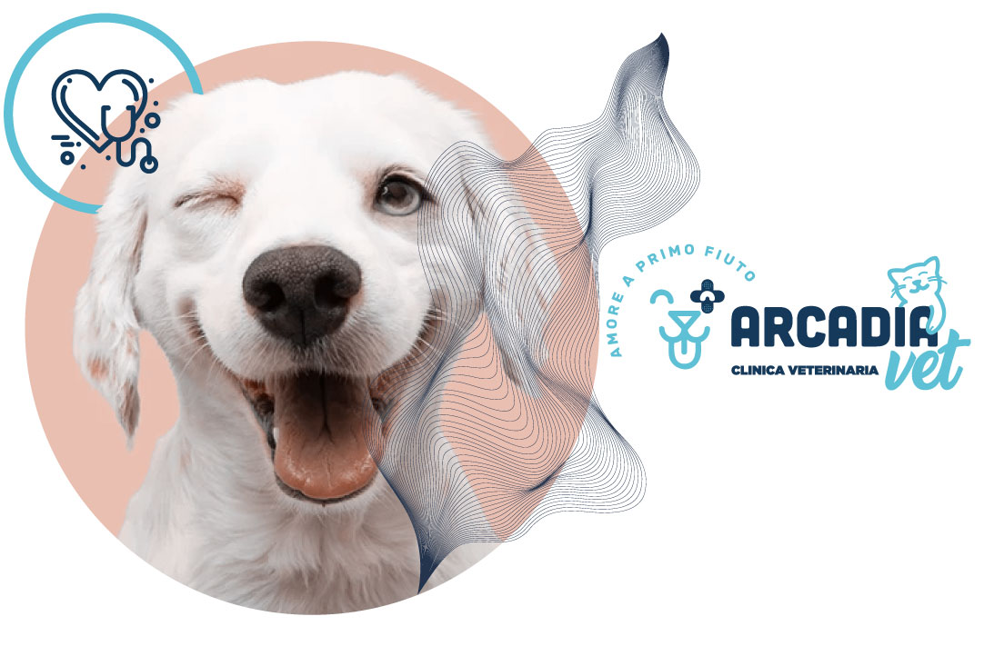 Recensioni Clinica Veterinaria