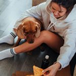 Cosa non possono mangiare i cani