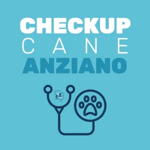 Checkup cane anziano