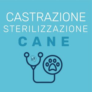 Sterilizzazione o Castrazione Cane