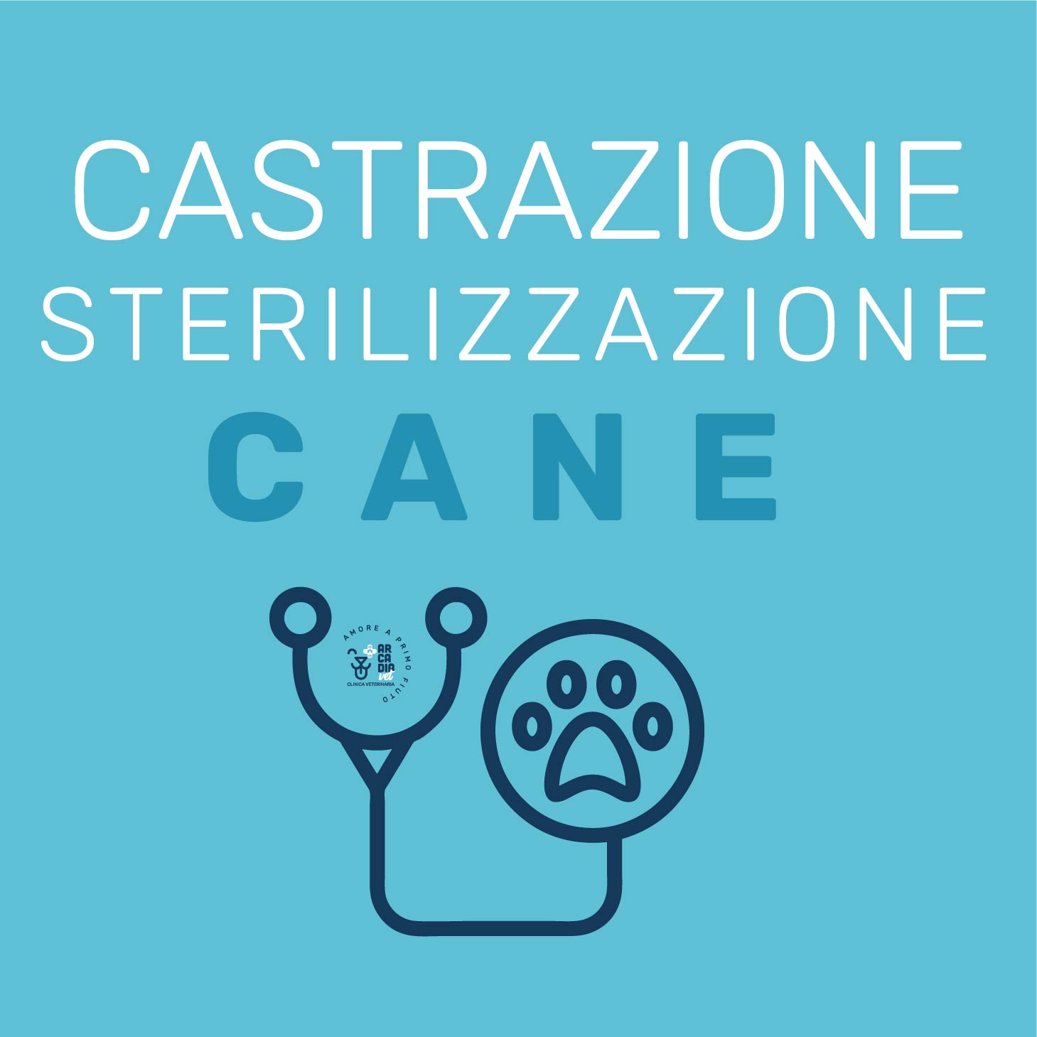 Sterilizzazione o Castrazione Cane