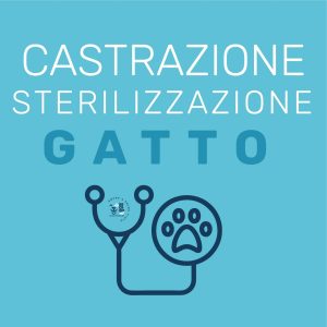 Sterilizzazione o Castrazione Gatto
