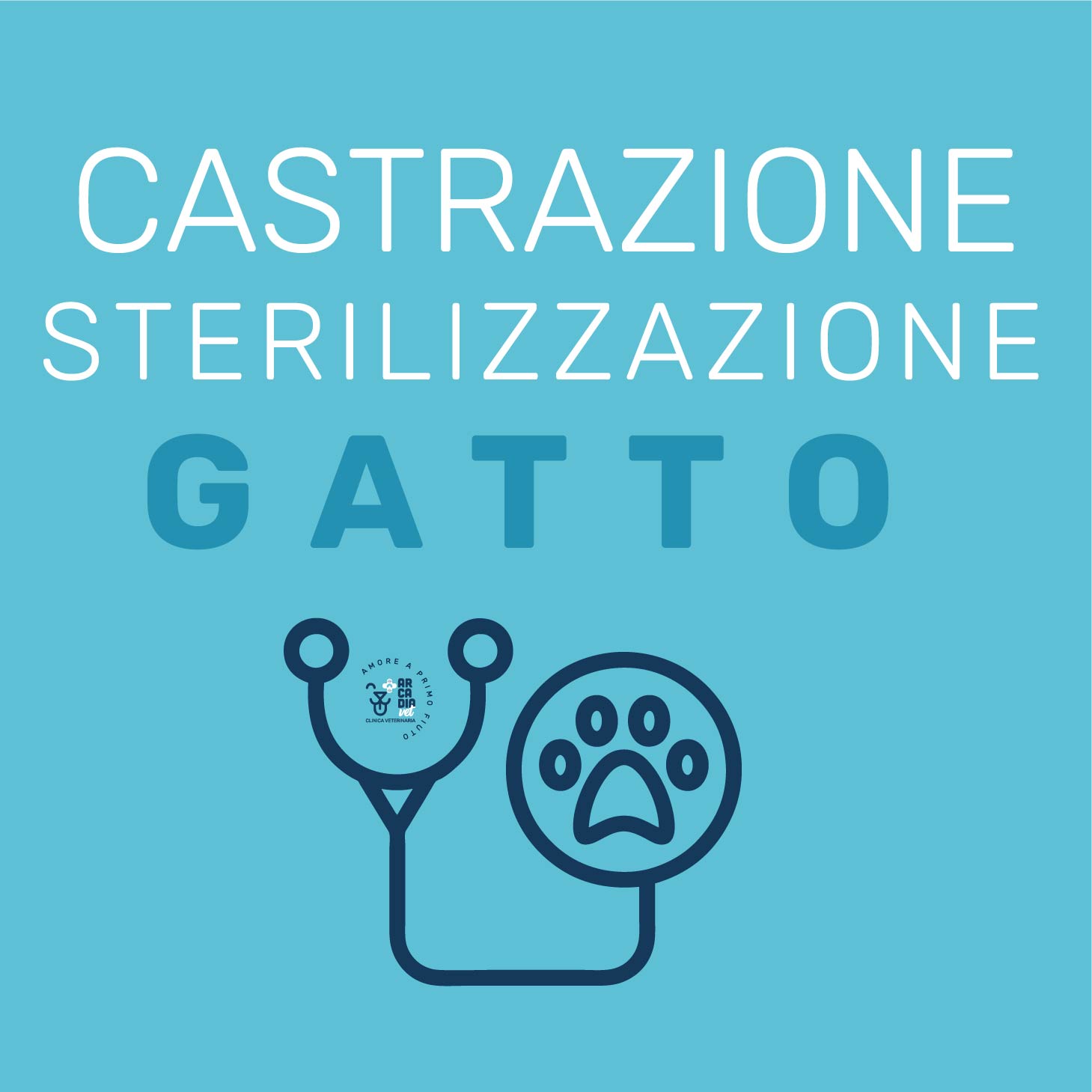 Sterilizzazione o Castrazione Gatto