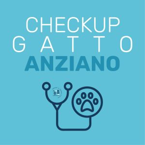 Check up gatto anziano