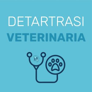 Detartrasi