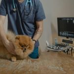 Protocollo per la Gestione di Noduli e Neoformazioni nel Cane e nel Gatto