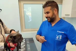La cura e l'amore che dedichiamo ai nostri pazienti a quattro zampe, ci differenzia da ogni altra clinica veterinaria, esperti veterinari si prenderanno cura dei tuoi animali domestici.