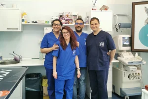 Il team di ArcadiaVet è sempre pronto ad occuparsi del benessere del tuo amico a quattro zampe. Vieni a scoprire il nostro team di veterinari esperti e qualificati, in continuo aggiornamento.